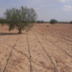 Sustainable integrated catchment management in the Maghreb (Tunisia)